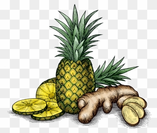 Pinagingerroot - Pineapple And Ginger Png Clipart