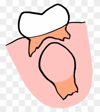 Clip Art - Png Download