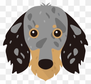 Irish Red And White Setter Nose Clipart