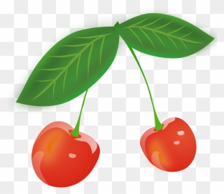 Plant,leaf,food - Cherry Leaves Clipart - Png Download