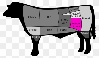 Cuts Of Beef Clipart