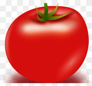 Vector Tomato Clipart - Tomato Png Transparent Png