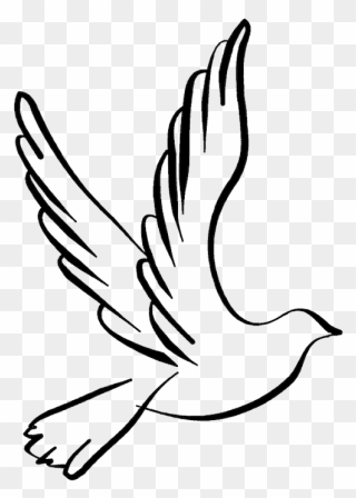 Peace Clipart Kalapati - Dove Outline Transparent Background - Png Download