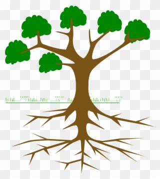 Clip Art Nature Photos - Tree Clipart With Roots - Png Download