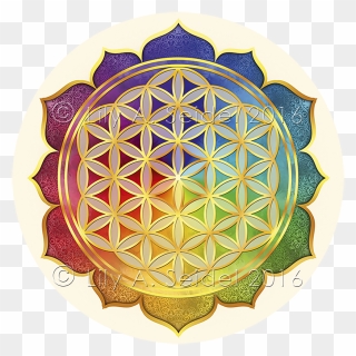 Sacred Geometry Overlapping Circles Grid Nelumbo Nucifera - Sacred Geometry Transparent Background Clipart