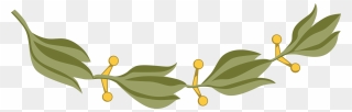 Plant,flora,leaf - Laurel Branch Mexico Clipart