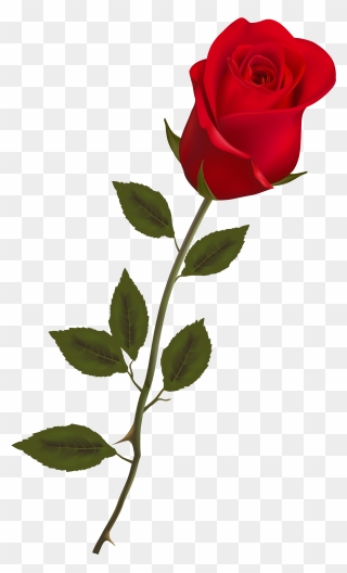 Rose Clipart Long Stem - Single Long Stem Red Rose - Png Download