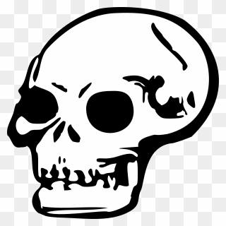 Skull - Human Skull Clip Art - Png Download