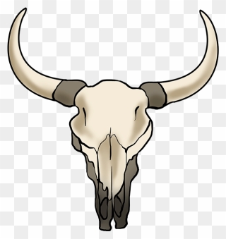 How To Draw Bull Skull - Cow Skull Drawing Easy Clipart