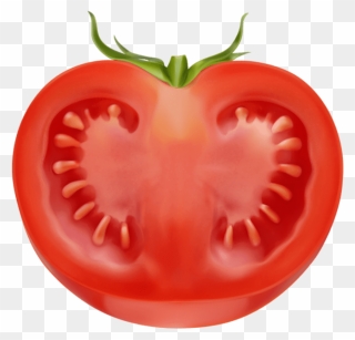Tomato Clipart, Hd Png Download - Half Tomato Png Transparent Png