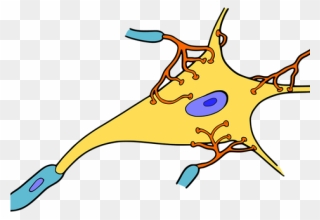 Cartoon Picture Of Nerves Clipart