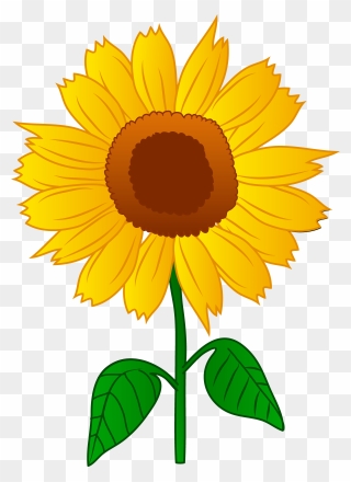 Clip Art Of Sunflower - Png Download