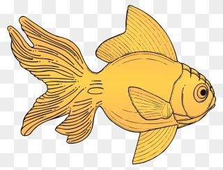 Golden Fish Svg Clip Arts - Gold Fish Clip Art - Png Download