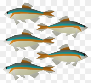 Minnow Png Clipart