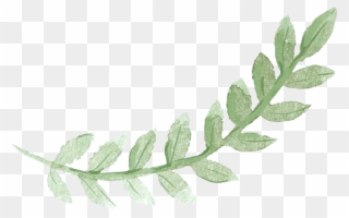 Sydney Leaves Watercolor Green Pancake Brunch Painting - Greenery Leaf Watercolor Clipart - Png Download