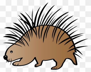 Adaptations Clipart Clip Download Animal Adaptations - Porcupine Clipart - Png Download