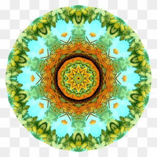 Filicinae 30 Clip Arts - Circle - Png Download
