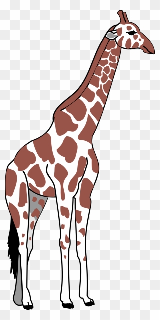 Tall Clipart Tall Animal - Tall Clipart Png Transparent Png