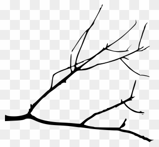 Branch Drawing - Simple Tree Branch Drawing Clipart