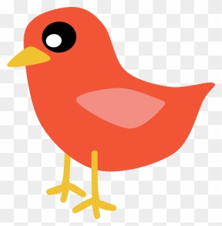 Transparent Red Bird Clipart - Birds - Png Download