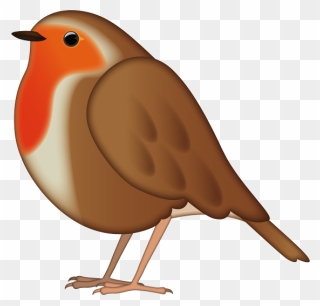 Cartoon Bird Robin Clipart
