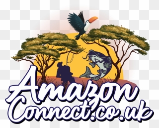 Amazon Connect - Illustration Clipart