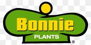 Growing Spinach - Bonnie Plants Clipart