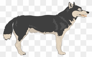 Wolf Animals Clipart - Png Download