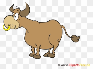 Ox Image, Clip Art, Illustration, Cartoon - Ochs Clipart - Png Download