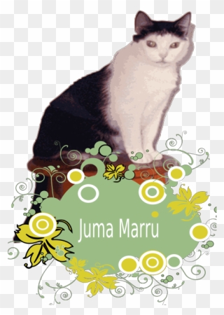 Cat Png Clip Art - Vector Transparent Png