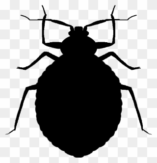 Beetle Outline Png - Bed Bug Vector Png Clipart