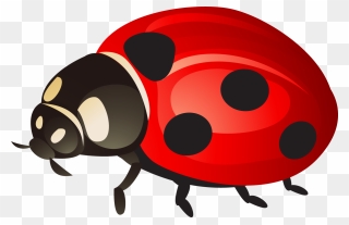 Ladybird Beetle Clip Art - Ladybug Png Transparent Png
