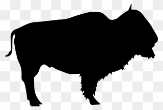 Buffalo Wild Beast Silhouette Svg Png Icon Free Download - Buffalo Silhouette Png Clipart