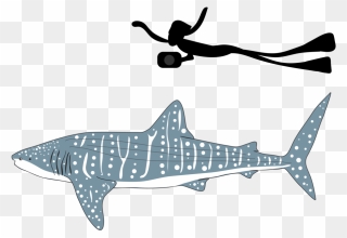 Be Part Of The Solution Whale Shark Png - Transparent Whale Shark Png Clipart