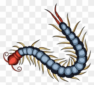 Chinese Red Headed Centipede Clipart - Centipede Png Transparent Png