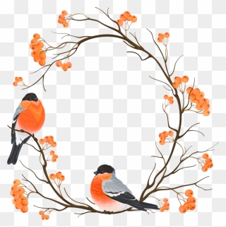 Branch Chinese Round Bird Eurasian Bullfinch Embroidery - Bird Sitting On A Tree Branch Png Clipart