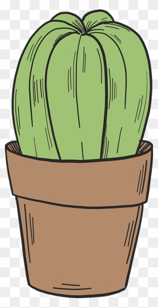 Cactus In A Pot Clipart - Png Download
