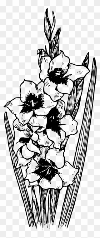 Black And White Flowers Svg Clip Arts - Flower Tattoos Gladiolus Black And White - Png Download