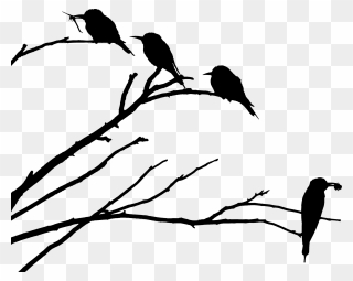 Wildlife,flora,leaf - Bird On Branch Silhouette Png Clipart