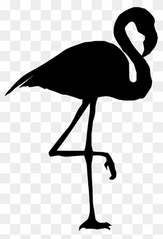 Black And White Flamingo Clipart 5 By Larry - Silhouette Of Flamingo - Png Download