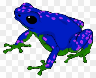 Poison Dart Frog Cartoon Clipart