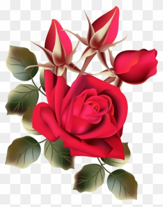 Red Flower Clipart Roze - Hd Flower Rose - Png Download