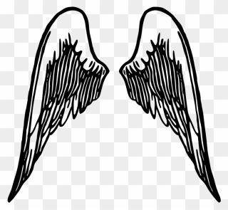 Angel Wings Transparent Background Clipart - Png Download
