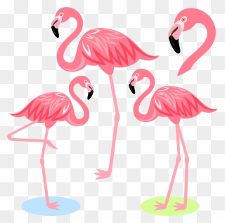 Flamingo Bird Illustration Cartoon Free Frame Clipart - Cartoon Flamingo - Png Download