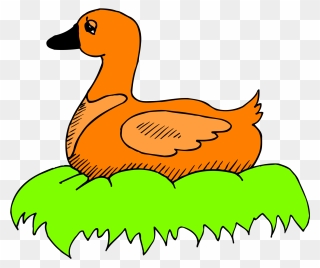 Green, Orange, Bird, Duck, Color, Art, Sitting, Nest - Duck In Its Nest Clipart - Png Download