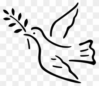 Vector Illustration Of Dove Bird With Olive Branch - Spiritual Clipart - Png Download