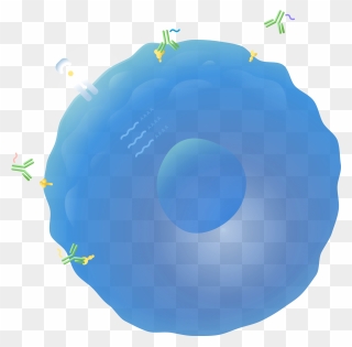 Single Cell Immune Profiling - Circle Clipart