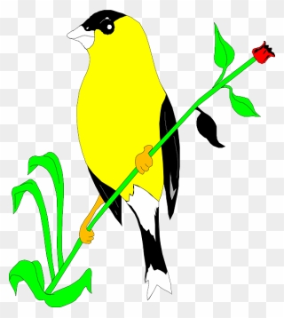Flower, Bird, Plant, Wings, Animal, Goldfinch, Stem - Goldfinch Clipart