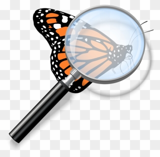 Monarch Butterfly Clipart Transparent Background - Png Download