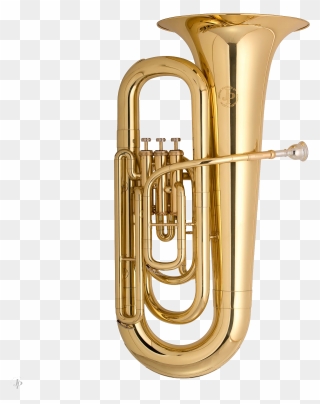 Tuba Clipart Transparent - Musical Instruments Brass Tuba - Png Download